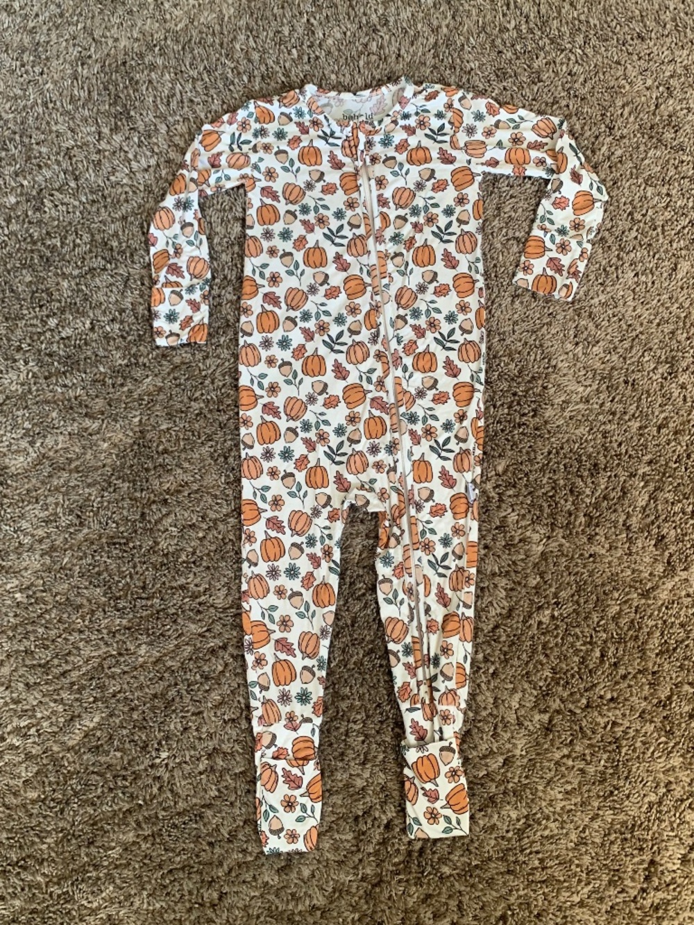 Behold Baby Bamboo Pumpkins Sleeper Pajamas Sz.18-24m Fall Autumn Footie Pjs